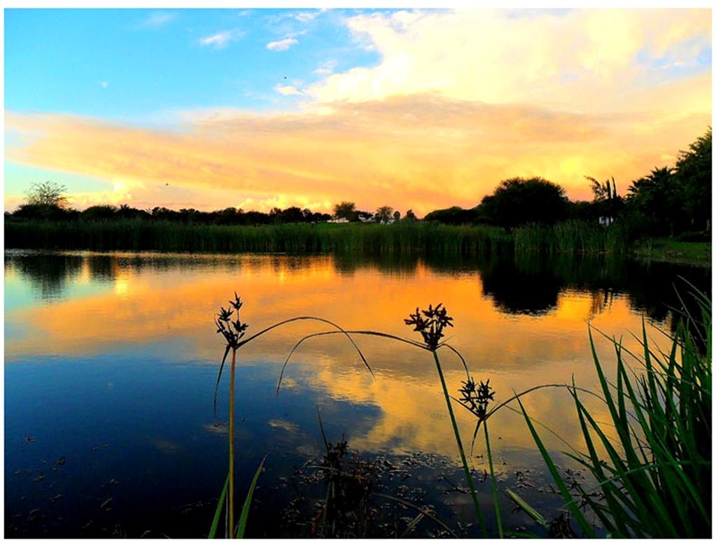 Phakalane Golf Estate Hotel Resort Gaborone Fasiliteter bilde