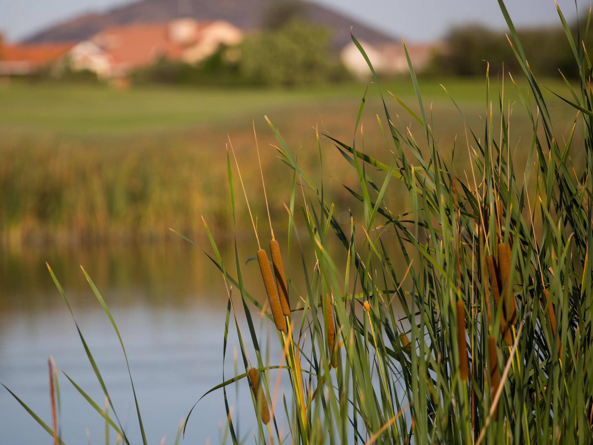 Phakalane Golf Estate Hotel Resort Gaborone Eksteriør bilde